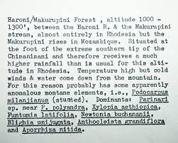 Image result for Telosma africana