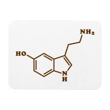 Serotonin Molecular Chemical Formula Magnet Zazzle Com Chemical Formula Serotonin Molecular