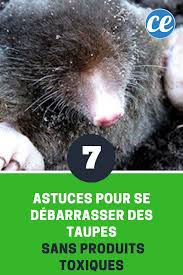 Epingle Sur Anti Insectes Et Anti Parasites