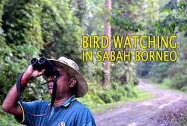 2015 top boston app developers. How Bird Watching In Sabah Became The Top Destination In Malaysia Travel Food Lifestyle Blog