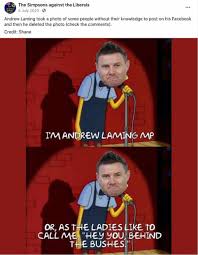 Newest covid memes to start 2021! Andrew Laming Simpsons Memes Extraordinary Behaviour And The End Of An Mp S Career Andrew Laming The Guardian