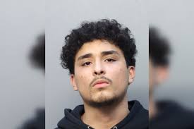 Hialeah Teen Charged After Leading FHP