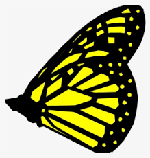 Butterfly wings clipart set includes: Free Wings Clip Art With No Background Page 2 Clipartkey