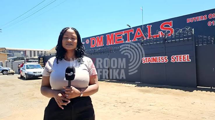 South Africa's Steel and Aluminium Industry Concerns