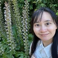 10+ "Wing Kwok" profiles