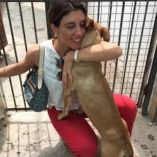 Ana Almada Email