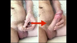 Penis Growth, Time-lapse Erection Precum - Pornhub Gay