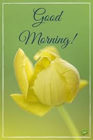 Start Your Day With A Smile Floral Cards Good Morning Flowers Good Morning Picture Good Morning Google