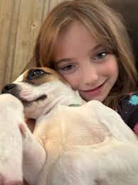 Anybody know this dog in balllygal running around cars