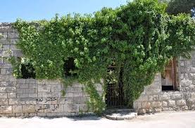 من بيوت ابل السقي جنوب لبنان Old Houses Sidewalk Structures