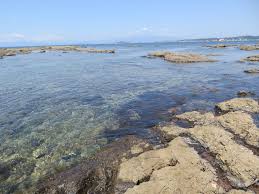 芝崎海岸は関東で1番おすすめのシュノーケリングポイント！ | 東京シュノーケリングブログ