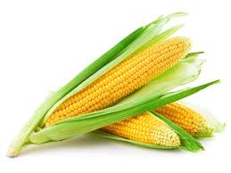 Jika rebus jagung terlalu lama akan mengakibatkan jagung mengecut dan tak rangup. 4 Alasan Tak Boleh Konsumsi Jagung Berlebihan