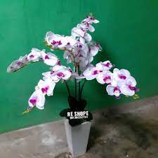 Maybe you would like to learn more about one of these? Bunga Plastik Bunga Hias Anggrek Artificial Bunga Anggrek Hias Plastik Shopee Indonesia