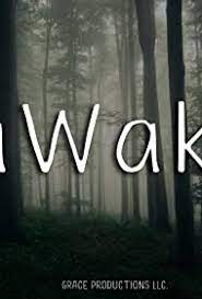Phim có sự tham gia của gina rodriguez, jennifer jason leigh, barry pepper, finn jones, shamier anderson, ariana. Awake 2021 Imdb