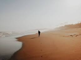 We did not find results for: Pantai Bopong Harga Tiket Masuk Rute Fasilitas Tempat Foto