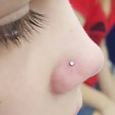 For information about the nostrils of a bird, see beak § nares. Piercing Nostril Titanio 2 5mm Piercing Argentina Facebook