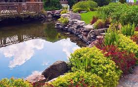 A truly beautiful place to visit, set in large grounds, with many ponds to browse for your favourite koi, they should definitely be on your list of places to visit! Adding Pond Salt To Your Koi Pond