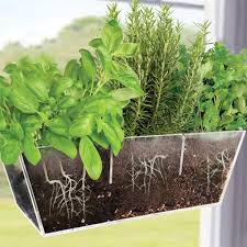 The sash and frame are also referred to as a window. Niuxx Acrylic Window Planter Boxes Creative Flower Pot Holder Plant Tray Shelf With Suction Stickers Great Outdoor Indoor Decorative Gift For Home Large Size With 3 Compartments Buy Online In Antigua And