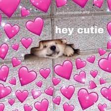 Image About Love In Memes By Felicia On We Heart It See more ideas about wholesome memes, love memes, cute memes. love in memes by felicia on we heart it