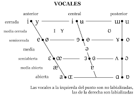 I will give you in this subject: Tabla Del Alfabeto Fonetico Internacional Afi Lexiquetos