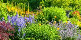 Perennials flowers such as foxglove and hydrangea and annuals like begonia, clivia, calendula, impatiens, pansy are best shade flowers which are easy. 25 Best Perennial Flowers Ideas For Easy Perennial Flowering Plants