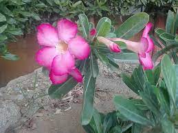 Pin On My Photography