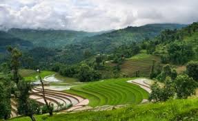Nepal: Agriculture development in relevance to Economic ...