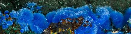 Welcome To University Of Arizona Gem Mineral Museum