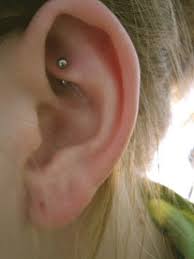 Small Rook Barbell Rook Piercing Cute Piercings Ear Piercings Rook
