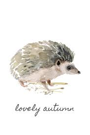 Sweeterlittlehome Com Animal Wall Art Hedgehog Art Watercolor Animals