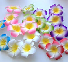 Can you press plumeria flowers? 50 Pcs 6cm Assorted Hawaiian Foam Artificial Plumeria Etsy In 2020 Artificial Flowers Flower Crafts Sympathy Flowers