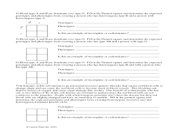 Provide a punnett square to support your answers where indicated. Codominance Punnett Square Examples