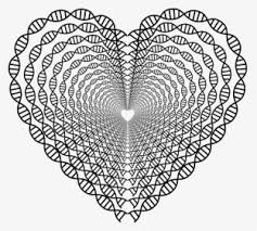 Heart Doily Png Ausmalbild Herz Fur Erwachsene Transparent Png Kindpng