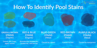 With the right advice and right product, you can get just about anything out! Pool Stain Removal 101 A Quick Guide To Removing Pool Stains Pool Stains Stain Remover Clean Rust Stains