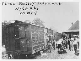 First Pickens County Poultry Shipment Pickens County Pickens County