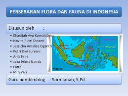 Penyebaran Flora Dan Fauna Di Indonesia