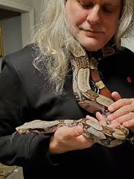 My sand boa thinks that she's a python