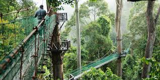 Peristiwa pencerobohan di lahad datu oleh pengganas sulu dari selatan filipina telah membuka mata kepada seluruh rakyat. 15 Tempat Menarik Di Lahad Datu Best Dan Terbaik Untuk Percutian Tempat Peranginan Terbaik Ammboi