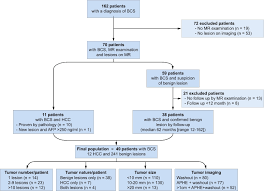 References In Low Specificity Of Washout To Diagnose Hepatocellular Carcinoma In Nodules Showing Arterial Hyperenhancement In Patients With Budd Chiari Syndrome Journal Of Hepatology