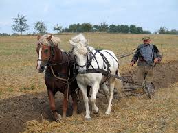 Plough - Wikipedia
