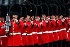 Examples of bearskin in a sentence. Spending On British Army S Bearskin Hats Soars By 500 In Seven Years Mirror Online