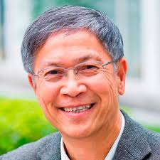 Professional Feature