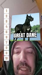 Ben (@bengarcia053)'s videos with original sound