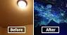 Tree Glow In The Dark Painting