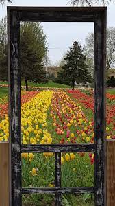 This 30 acre park along the south edge of the macatawa marsh, is located northeast of 6th street and central avenue. Window On The Waterfront Holland Mi Waterfront Painting Holland