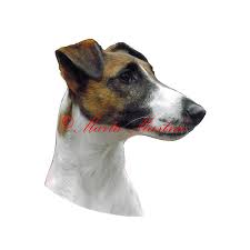 Image result for foxteriér hladkosrstý