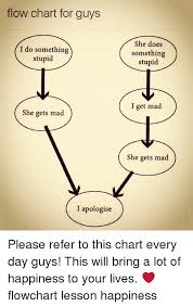 flow chart for guys i do something stupid she gets mad i