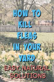 We did not find results for: Kill Fleas In The Yard 5 Weird Tricks That Work Tropical Backyard Fleas Miniature Fairy Gardens