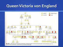 Die medaille hochrelief darstellung der königin, wie sie im jahr 1897 sah und ist in einem sehr. Konigin Victoria Von England Stammbaum Genealogischen Baum Stockfotos Und Bilder Kaufen Alamy Das Familienleben Der Konigin Victoria Von England Tashiav Bidder