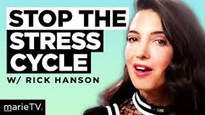 Rick Hanson: The Curious Brain Hack to Build Inner Strength